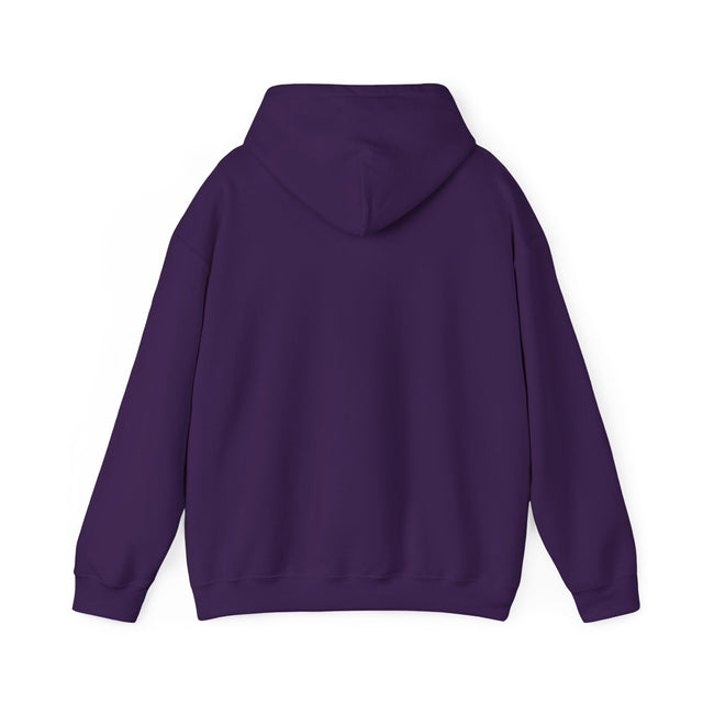 Devine Sun Hoodie Sweatshirt